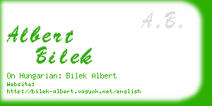 albert bilek business card